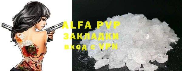 стаф Аркадак