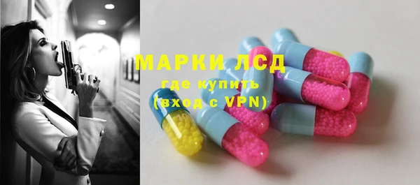 стаф Аркадак