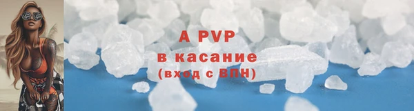 стаф Аркадак