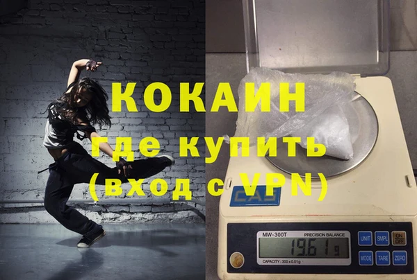 стаф Аркадак