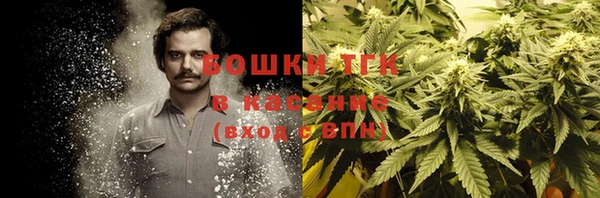 стаф Аркадак