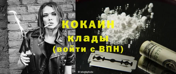 стаф Аркадак