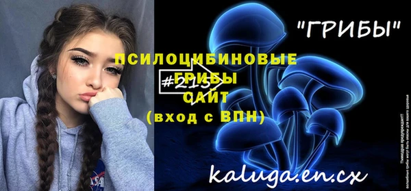 стаф Аркадак