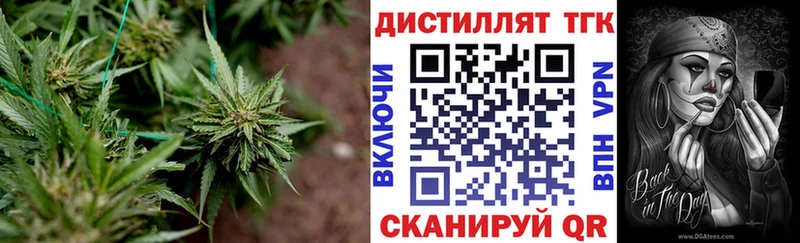 Купить где  Агрыз  Дистиллят ТГК гашишное масло 
